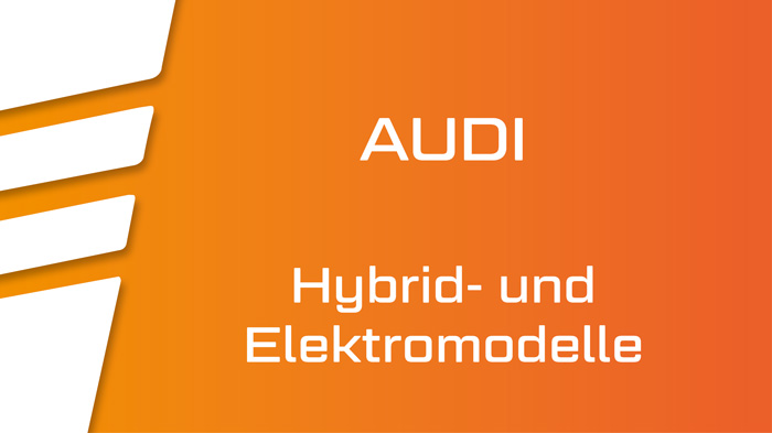 A H Petschallies Homepage E Mobilität Unterseite November2023 Audi